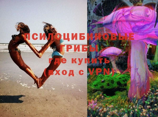 стаф Киреевск