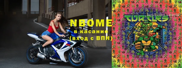 сатива Козельск