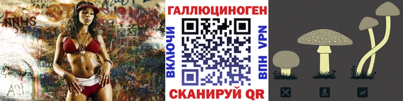 ссылка на мегу онион Челябинск Псилоцибиновые грибы MAGIC MUSHROOMS где можно купить наркотик