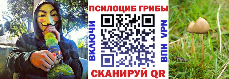 Галлюциногенные грибы мицелий Челябинск