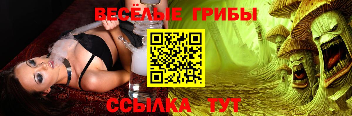 Галлюциногенные грибы прущие грибы  Челябинск  где продают   Галлюциногенные грибы Cubensis 