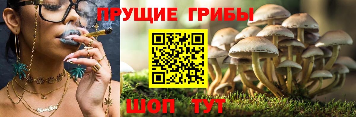 Псилоцибиновые грибы GOLDEN TEACHER  Вход с VPN  Челябинск 
